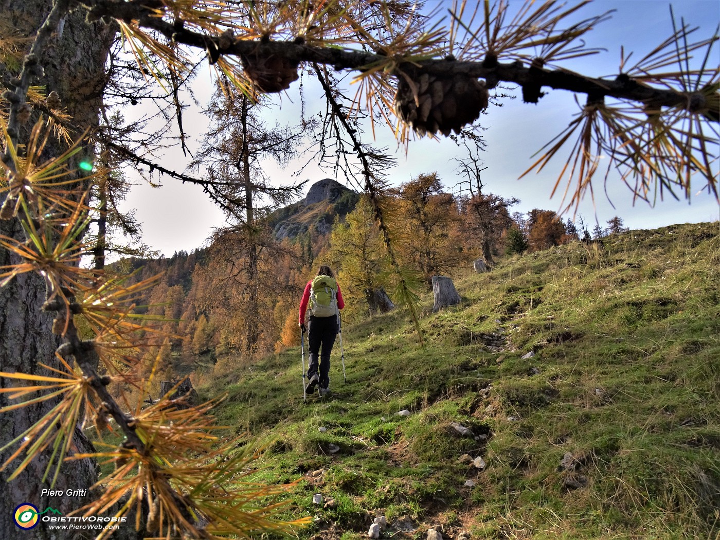 40 In salita dal Monte Colle (1750 m) al soprastante Passo di Monte Colle (1938 m).JPG